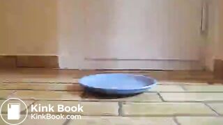 ScatKings.com Scat Porn