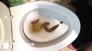 ScatKings.com Scat Porn