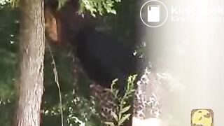 In a public park, ScatKings.com Scat Porn 1 ScatKings.com Scat Porn