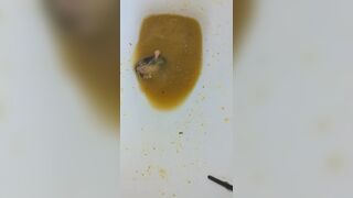 ScatKings.com Scat Porn