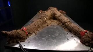 ScatKings.com Scat Porn