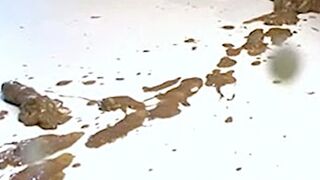 ScatKings.com Scat Porn