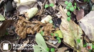 ScatKings.com Scat Porn
