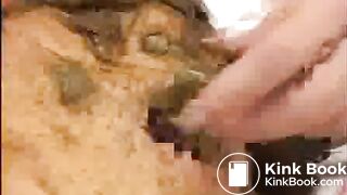 ScatKings.com Scat Porn
