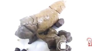 ScatKings.com Scat Porn