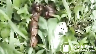 ScatKings.com Scat Porn