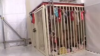 ScatKings.com Scat Porn