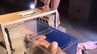 ScatKings.com Scat Porn