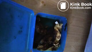 Kackslip zum wichsen gewünscht, ScatKings.com Scat Porn 2 ScatKings.com Scat Porn
