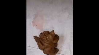 ScatKings.com Scat Porn