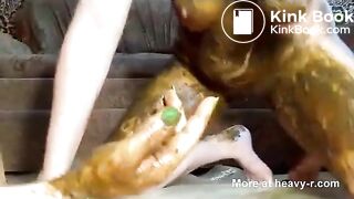 ScatKings.com Scat Porn