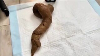 ScatKings.com Scat Porn