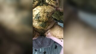 ScatKings.com Scat Porn