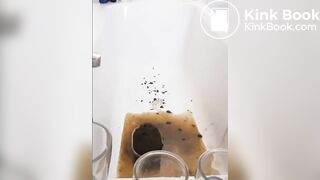 ScatKings.com Scat Porn