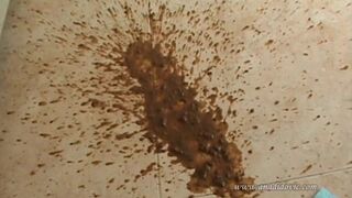 ScatKings.com Scat Porn