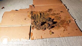 ScatKings.com Scat Porn