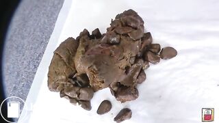 ScatKings.com Scat Porn