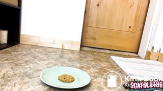 ScatKings.com Scat Porn