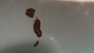 ScatKings.com Scat Porn