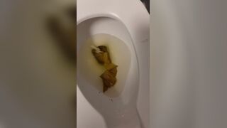 ScatKings.com Scat Porn