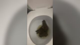 ScatKings.com Scat Porn
