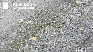 ScatKings.com Scat Porn