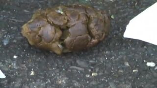 ScatKings.com Scat Porn
