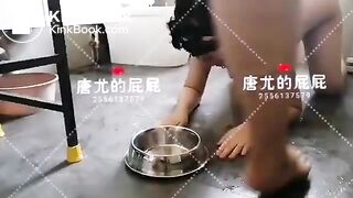 ScatKings.com Scat Porn