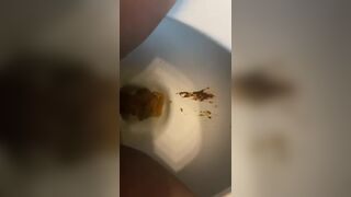 ScatKings.com Scat Porn