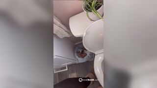 ScatKings.com Scat Porn