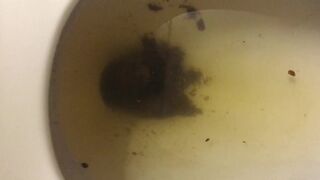 ScatKings.com Scat Porn