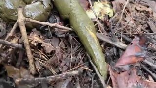 ScatKings.com Scat Porn