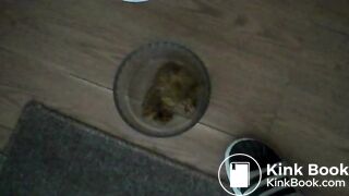 ScatKings.com Scat Porn