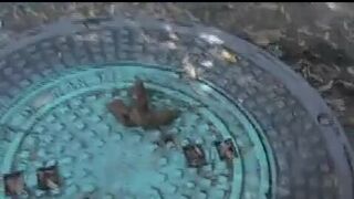 ScatKings.com Scat Porn