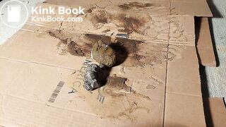 ScatKings.com Scat Porn