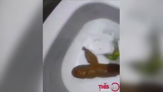 ScatKings.com Scat Porn
