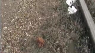 ScatKings.com Scat Porn