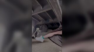 ScatKings.com Scat Porn