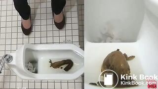 ScatKings.com Scat Porn