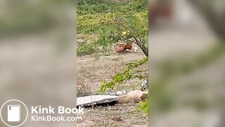 ScatKings.com Scat Porn