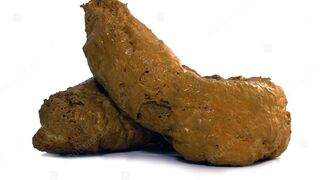 ScatKings.com Scat Porn