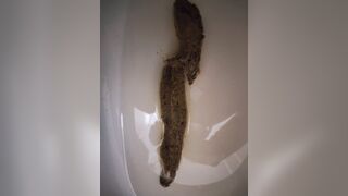 ScatKings.com Scat Porn