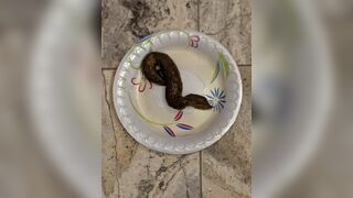 ScatKings.com Scat Porn