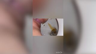 ScatKings.com Scat Porn