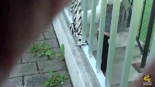 ScatKings.com Scat Porn