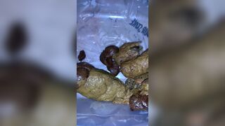 ScatKings.com Scat Porn
