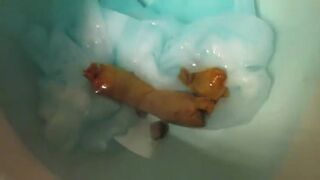 ScatKings.com Scat Porn