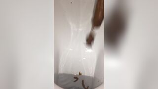ScatKings.com Scat Porn
