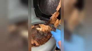 ScatKings.com Scat Porn