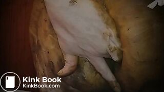 ScatKings.com Scat Porn
